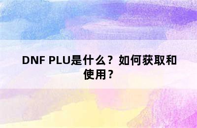 DNF PLU是什么？如何获取和使用？